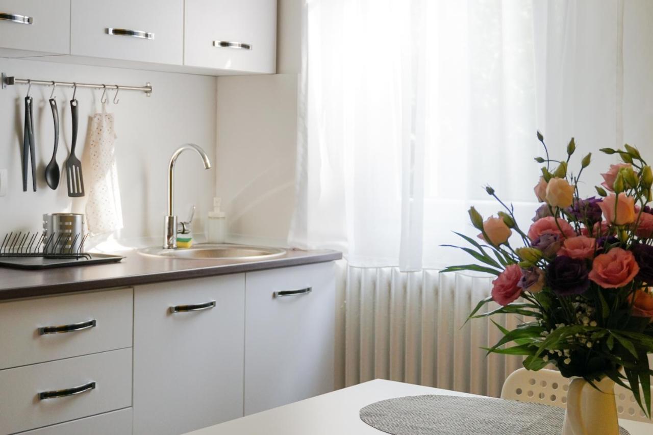 טימישוארה 7 Min From City Center - Stecop Residence 3 -Central-Unique-Qb מראה חיצוני תמונה