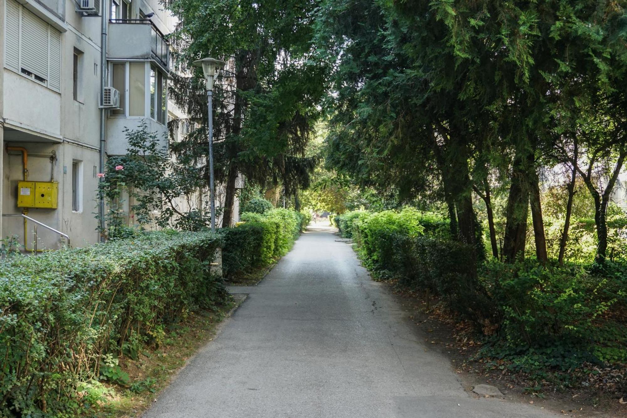 טימישוארה 7 Min From City Center - Stecop Residence 3 -Central-Unique-Qb מראה חיצוני תמונה